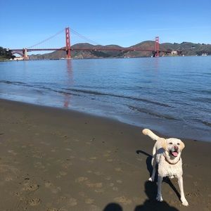 Meet your Posher, AC